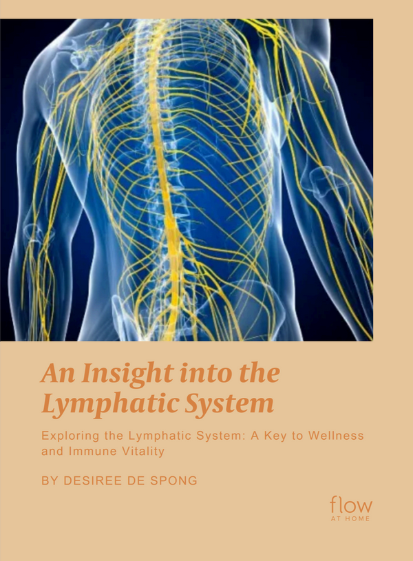 An Insight into the Lymphatic System: A Key to Wellness & Immune Vitality