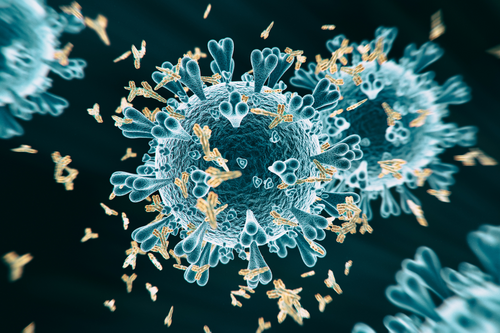 Exploring the Products of the Lymphatic System