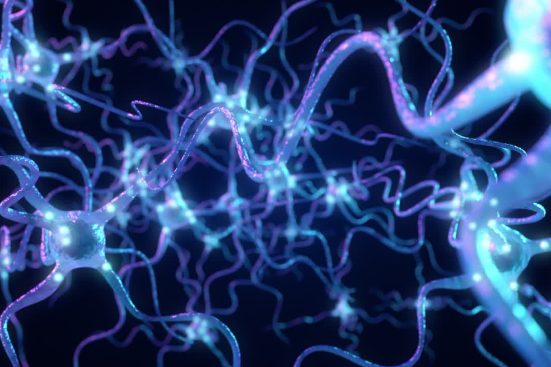 The Lymphatic System: Can It Think? 