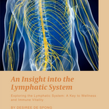 An Insight into the Lymphatic System: A Key to Wellness & Immune Vitality